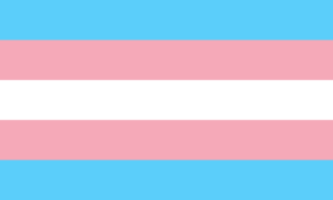 gender affirming care flag