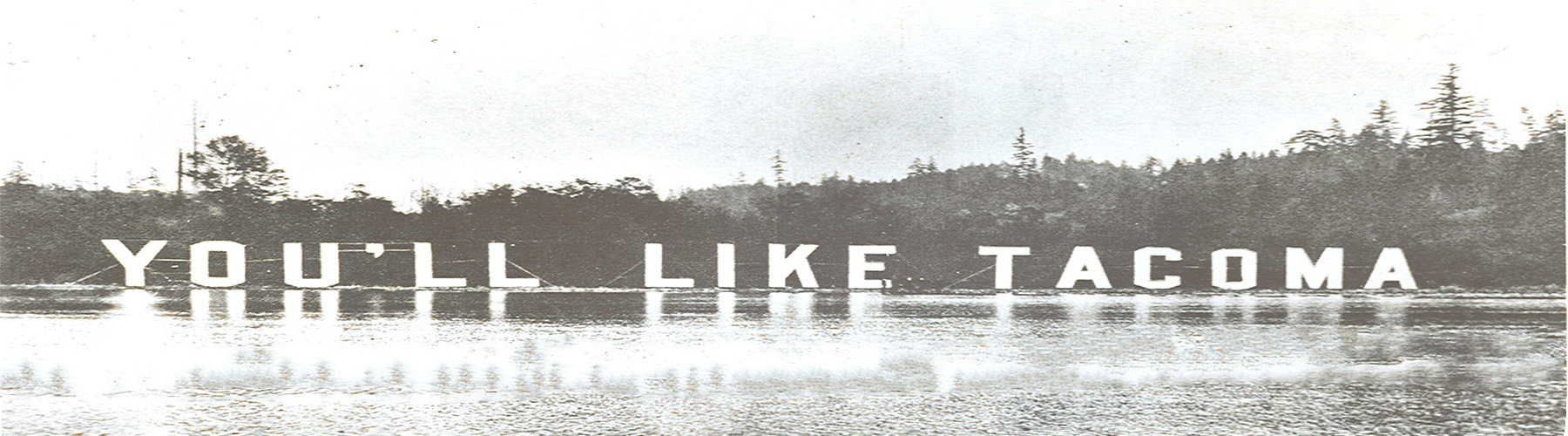youll like tacoma